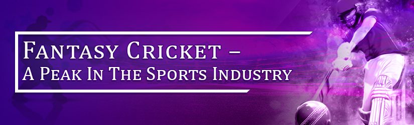 Fantasy Cricket – A Peak In The Sports Industry