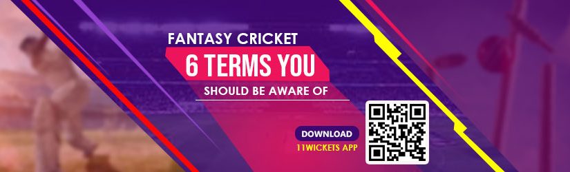 Fantasy Cricket – 6 Terms You Should be Aware of