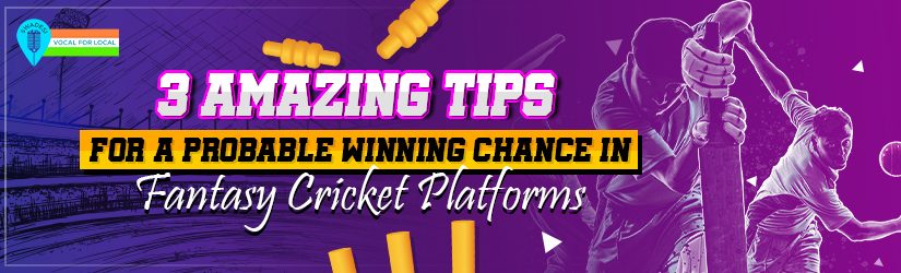 3 Amazing Tips for A Probable Winning Chance in Fantasy Cricket Platforms
