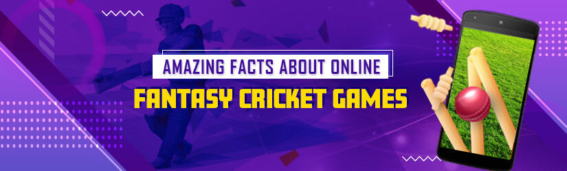 Amazing Facts About Online Fantasy Cricket Games