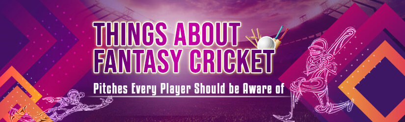Things About Fantasy Cricket Pitches Every Player Should be Aware of